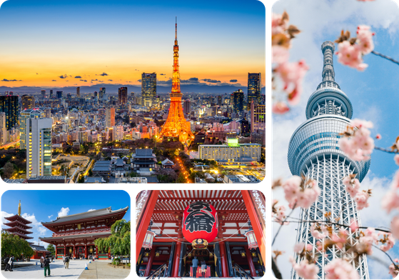 tokyo-package.png